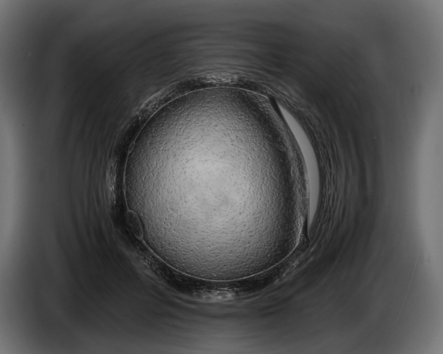 X0000086010600200704131829