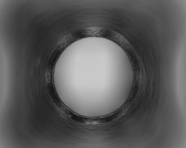X0000086010602200704131829