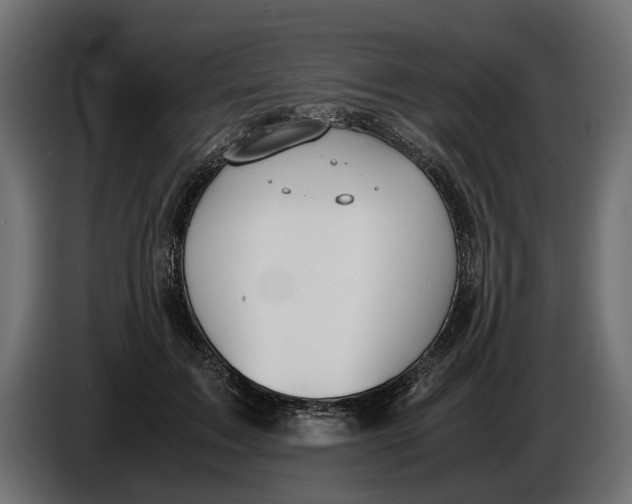 X0000086010603200704131829