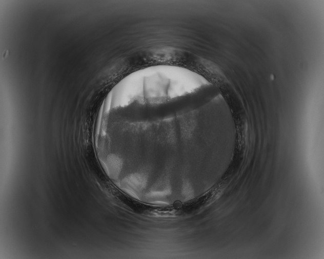 X0000086010606200704131829