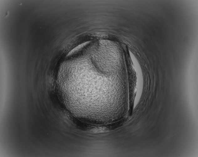 X0000086010609200704131829
