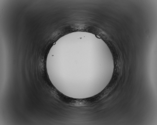 X0000086010612200704131829