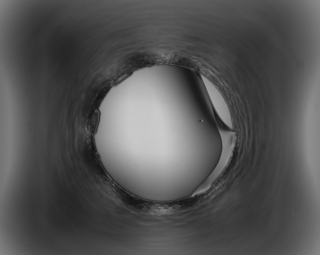X0000086010613200704131829