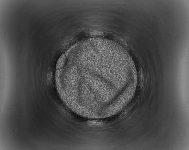 X0000086010614200704131829