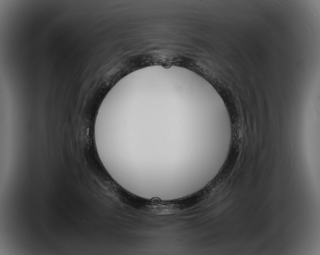 X0000086010615200704131829