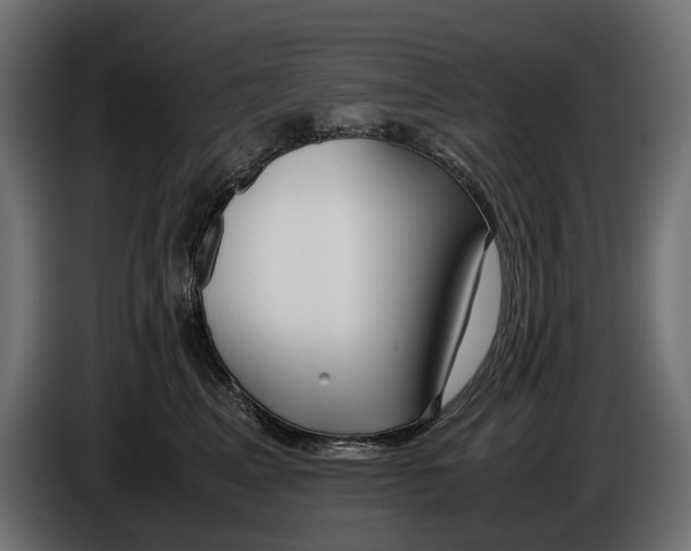 X0000086010617200704131829