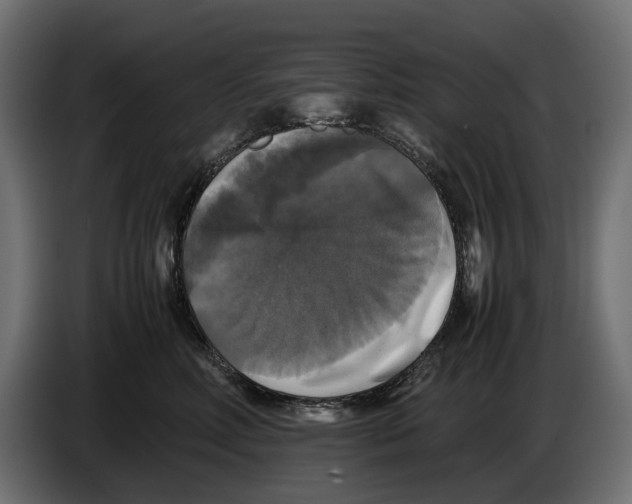 X0000086010618200704131829