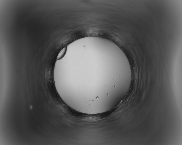 X0000086010619200704131829
