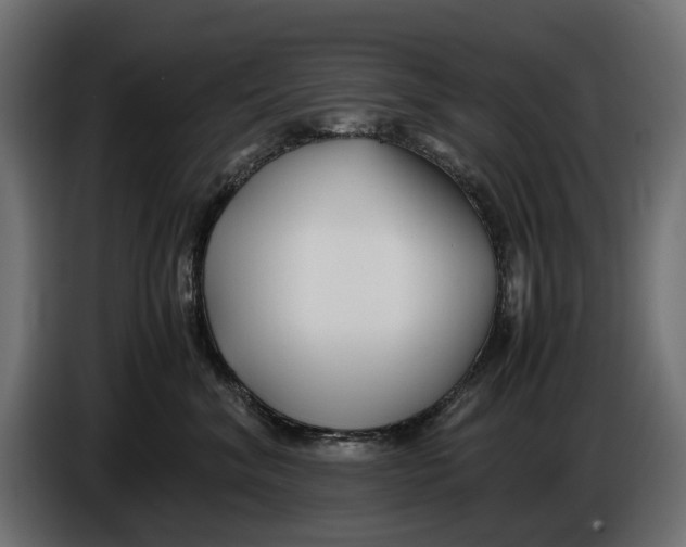 X0000086010620200704131829