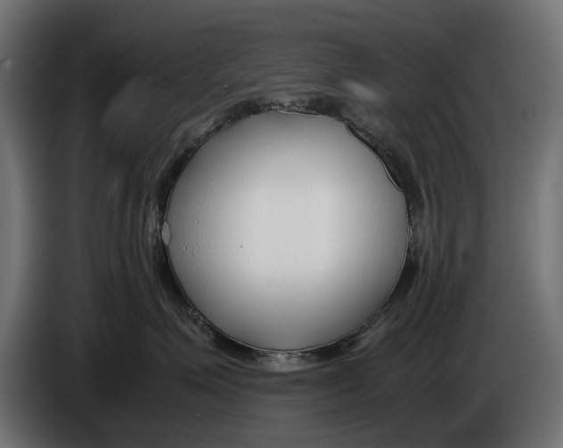 X0000086010623200704131829