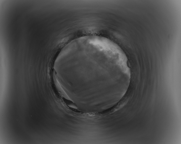 X0000086010624200704131829