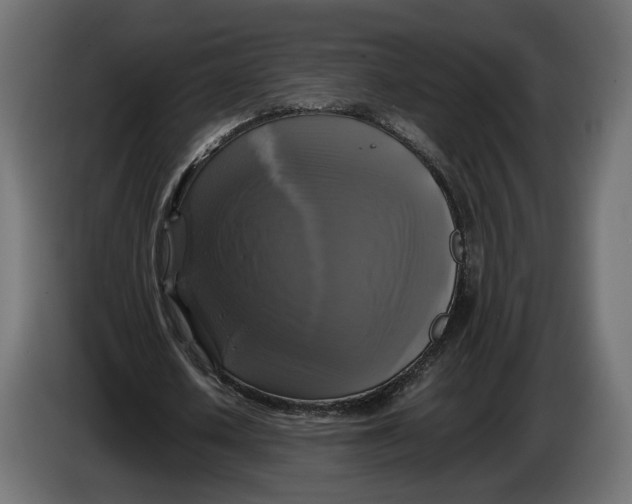 X0000086010626200704131828
