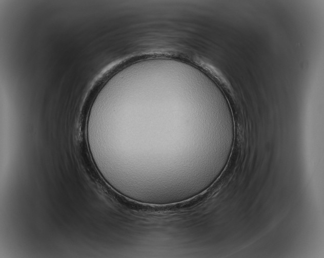 X0000086010628200704131828