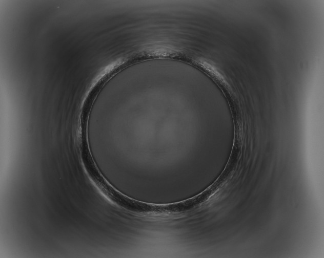X0000086010630200704131828