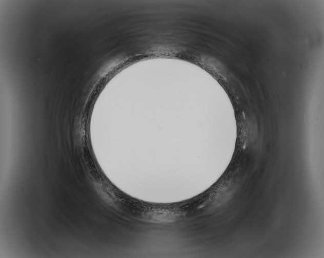 X0000086010632200704131828