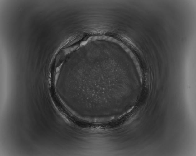 X0000086010634200704131828