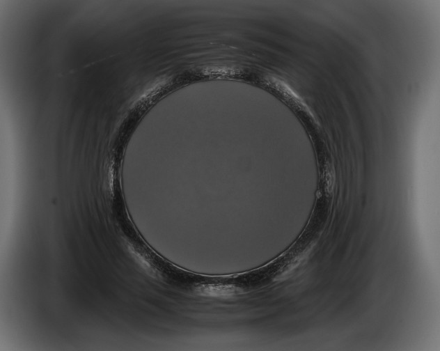 X0000086010637200704131828