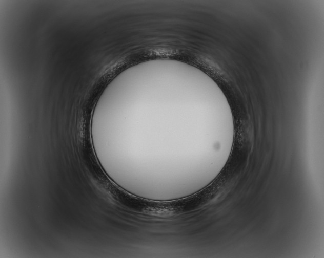 X0000086010639200704131828