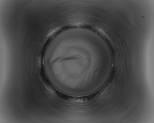 X0000086010640200704131828