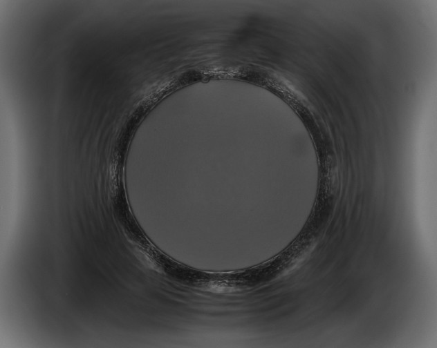 X0000086010641200704131828