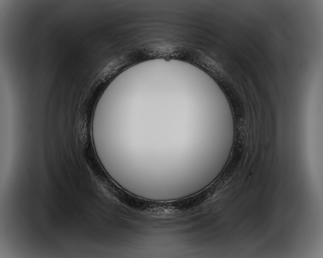 X0000086010642200704131828