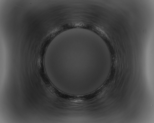 X0000086010643200704131828