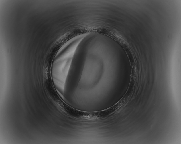X0000086010644200704131828