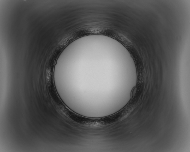 X0000086010646200704131828