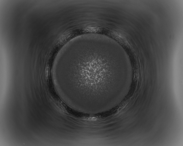 X0000086010647200704131829