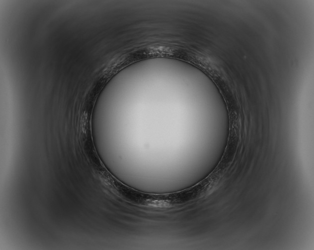 X0000086010649200704131829