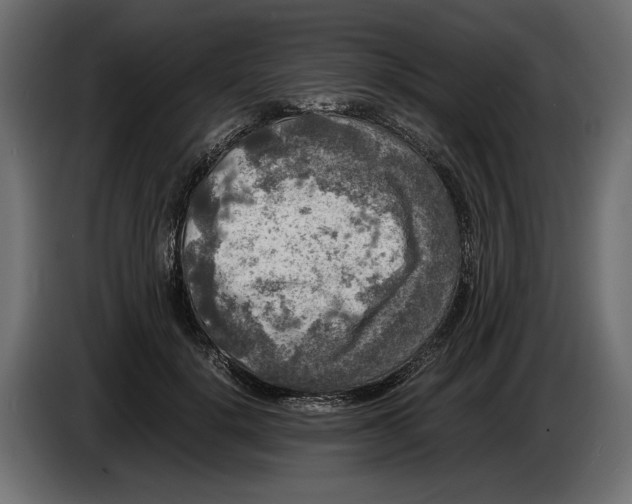 X0000086010652200704131829
