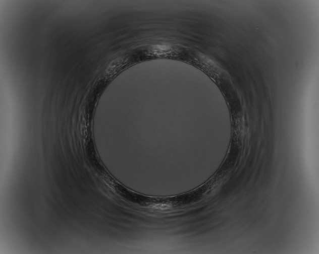 X0000086010653200704131829