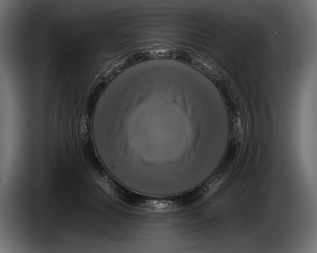 X0000086010654200704131829