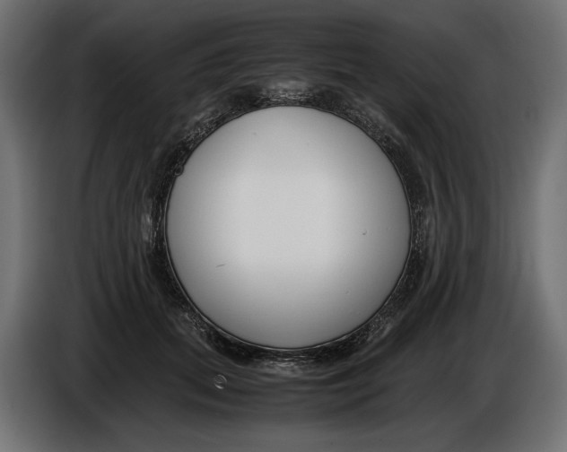 X0000086010655200704131829