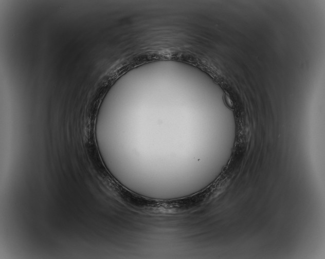 X0000086010656200704131829
