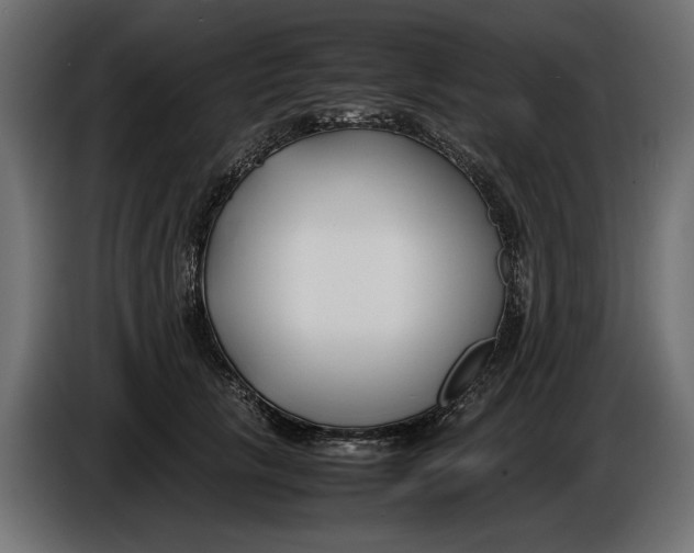X0000086010657200704131829