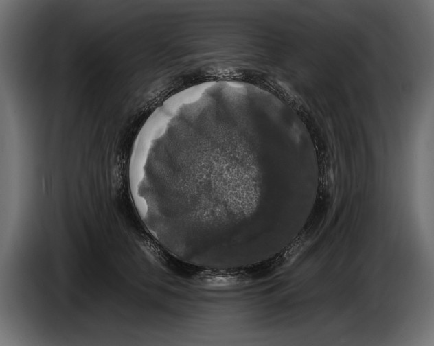 X0000086010658200704131829