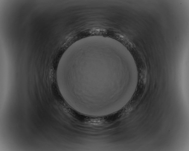 X0000086010659200704131829
