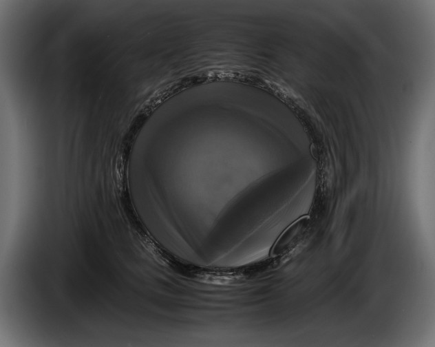 X0000086010661200704131829