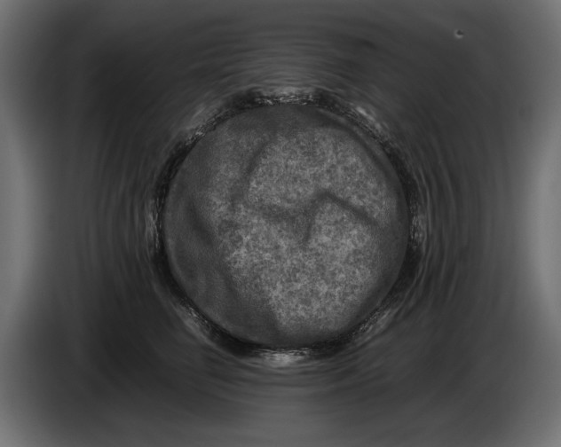 X0000086010662200704131829