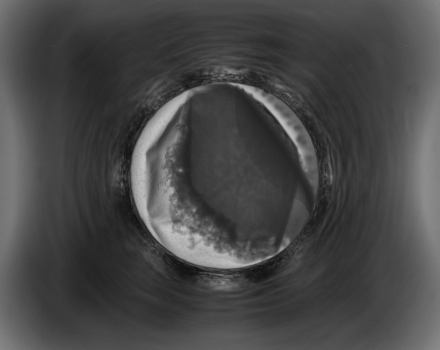 X0000086010663200704131829