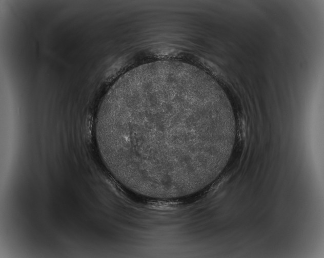 X0000086010664200704131829