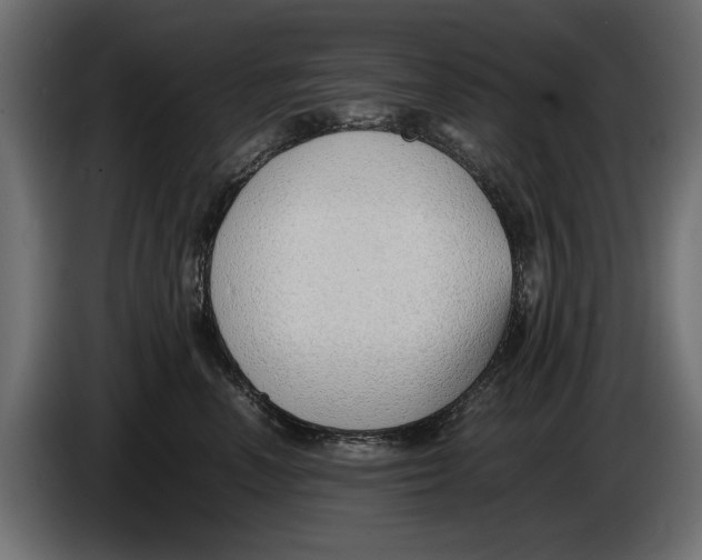X0000086010666200704131829