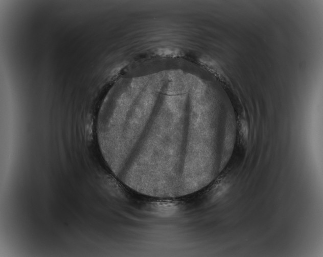 X0000086010668200704131829