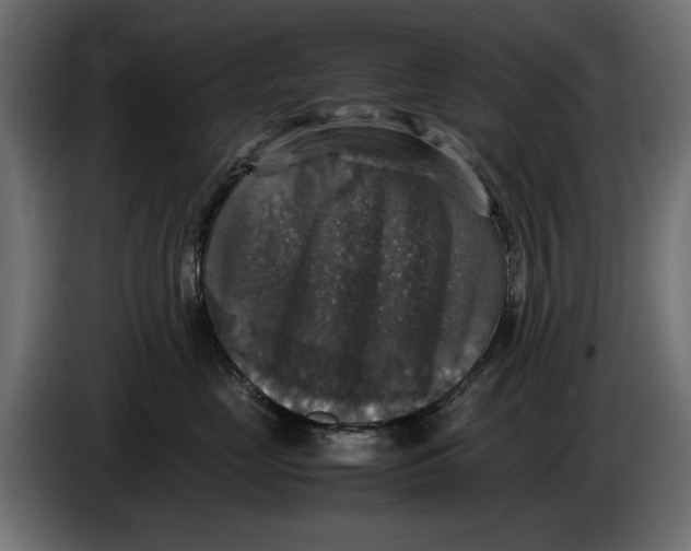 X0000086010669200704131829