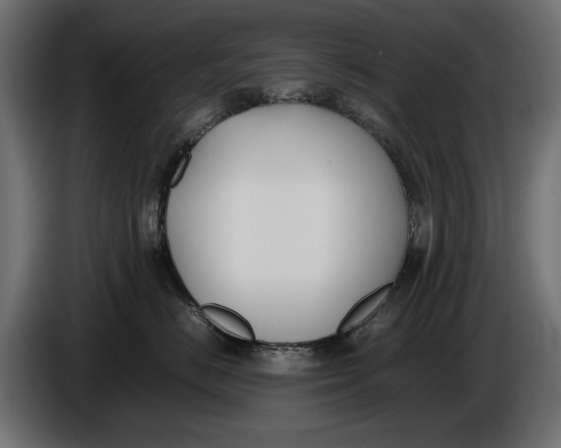 X0000086010670200704131829