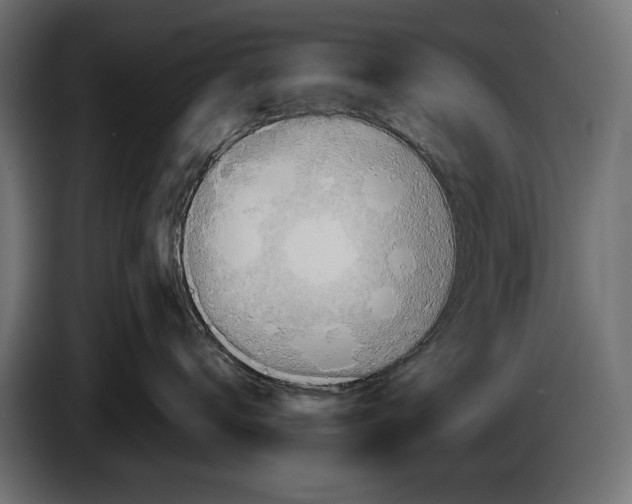 X0000086010672200704131829