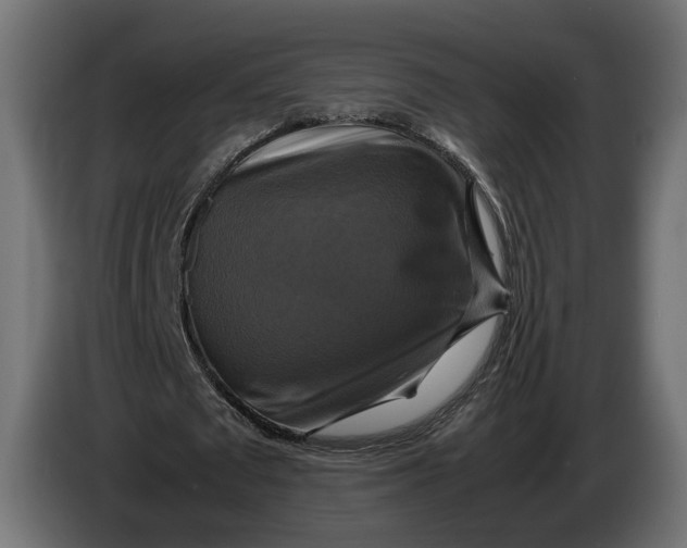 X0000086010673200704131828