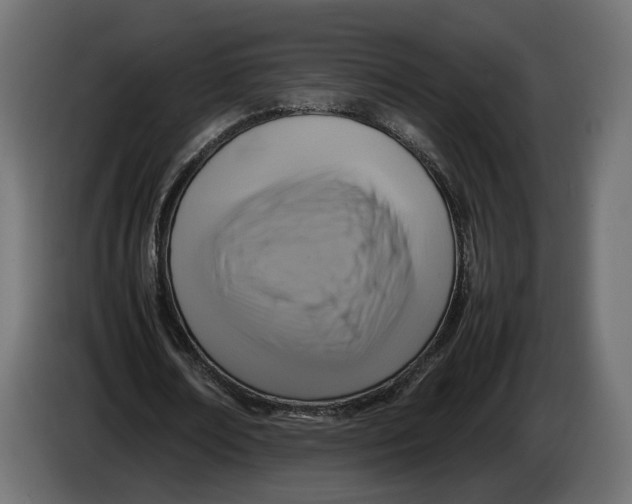 X0000086010674200704131828