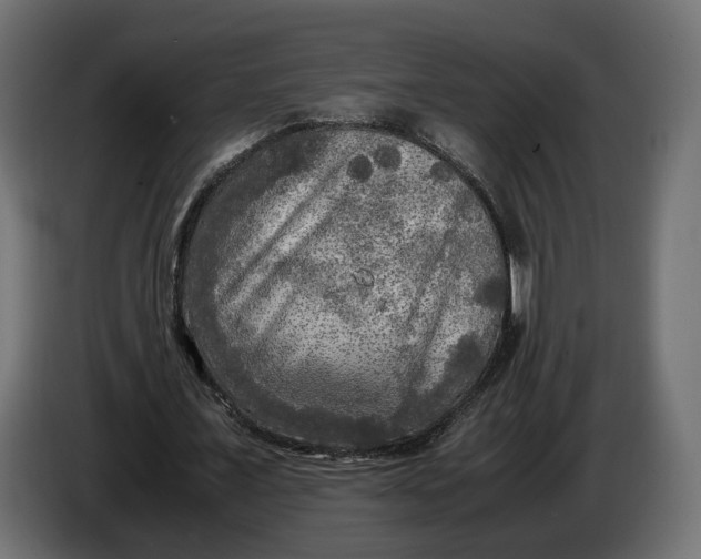 X0000086010675200704131828